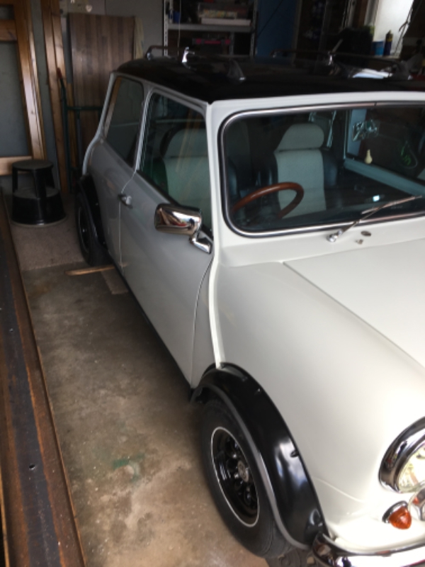 1981 Austin Mini Hl1000 for Sale CCFS
