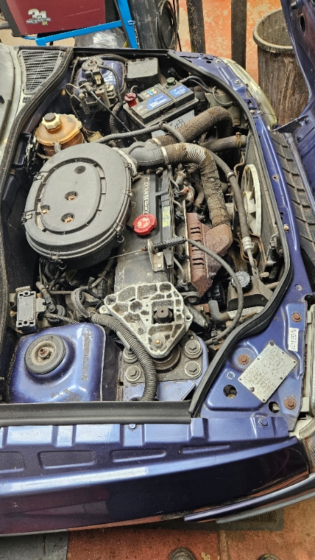424561
